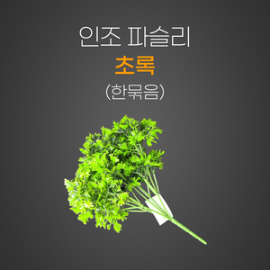 인조 파슬리