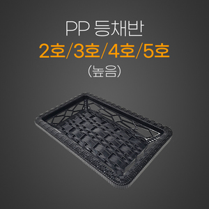 PP등채반 높음