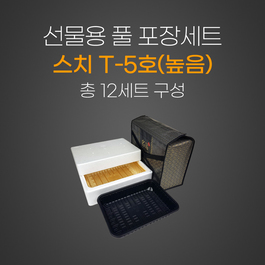 스치T-5호 높음