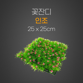 꽃잔디