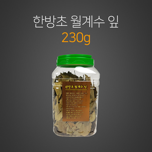 월계수잎