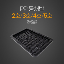 PP등채반 낮음