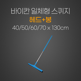 덴마크 스퀴지