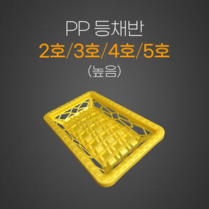 PP등채반 높음