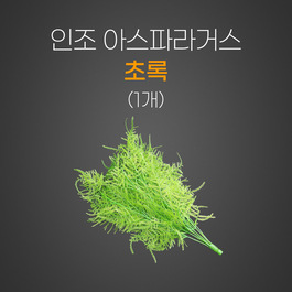 인조 아스파라거스